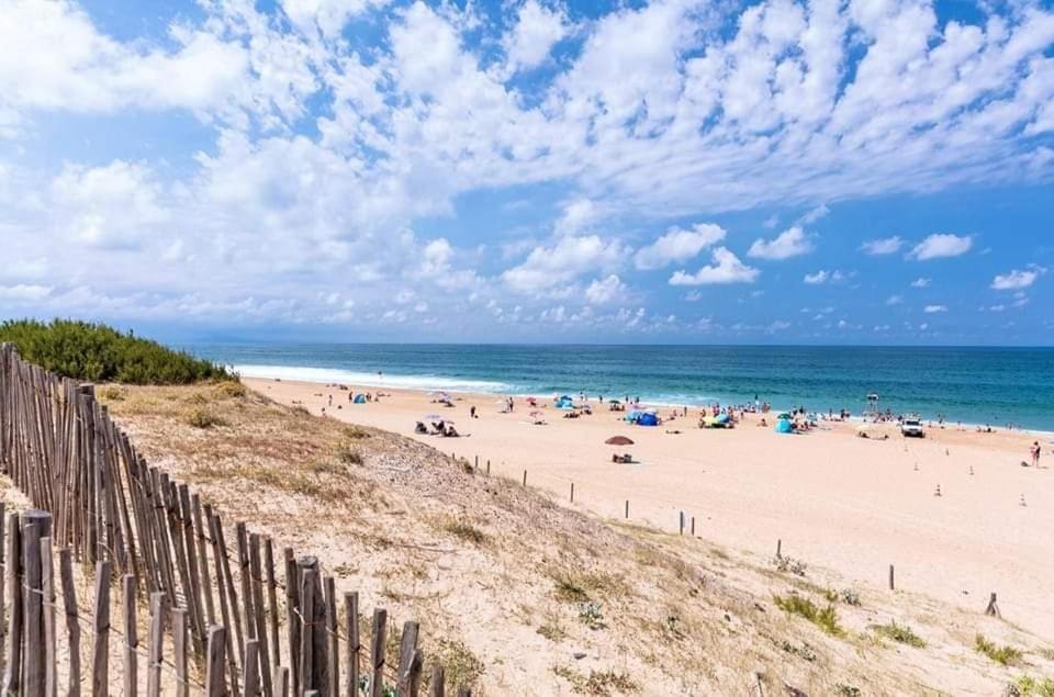 T2 Antigua Ondres Plage Avec Piscine Et Tennis Dış mekan fotoğraf